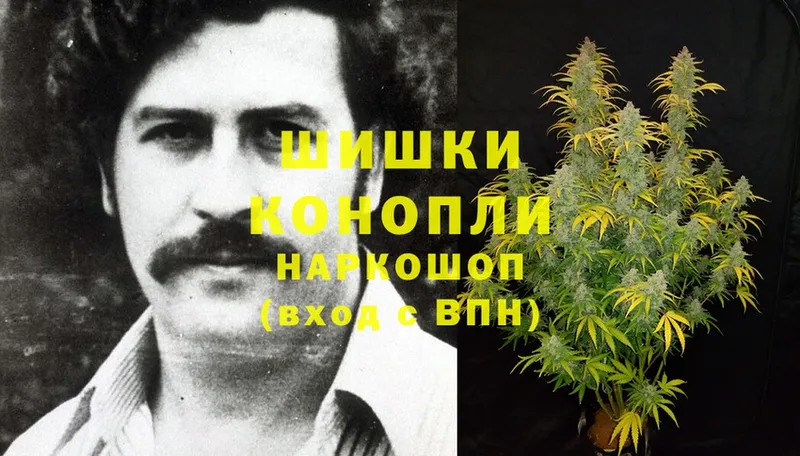 Бошки марихуана OG Kush  дарнет шоп  Выборг 